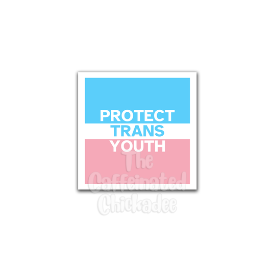 Protect Trans Youth - Vinyl Sticker