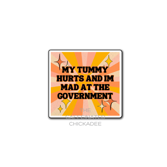 Mad At The Government - Vinyl Sticker